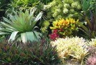 Koonyum Rangeplanting-garden-and-landscape-design-24.jpg; ?>
