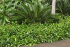 Koonyum Rangeplanting-garden-and-landscape-design-45.jpg; ?>