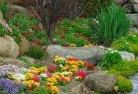 Koonyum Rangeplanting-garden-and-landscape-design-69.jpg; ?>
